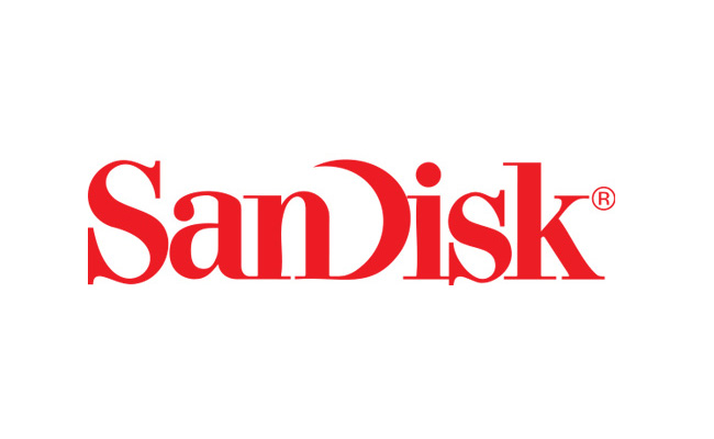 Sandisk 16GB Memory Card - Infytronics